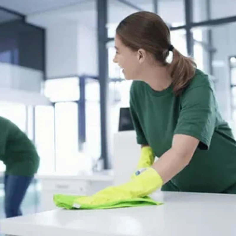 Office cleaners services