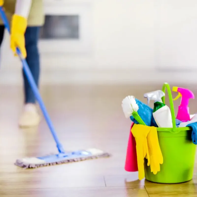 move in move out cleaners services