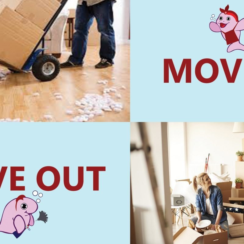 move in and out services