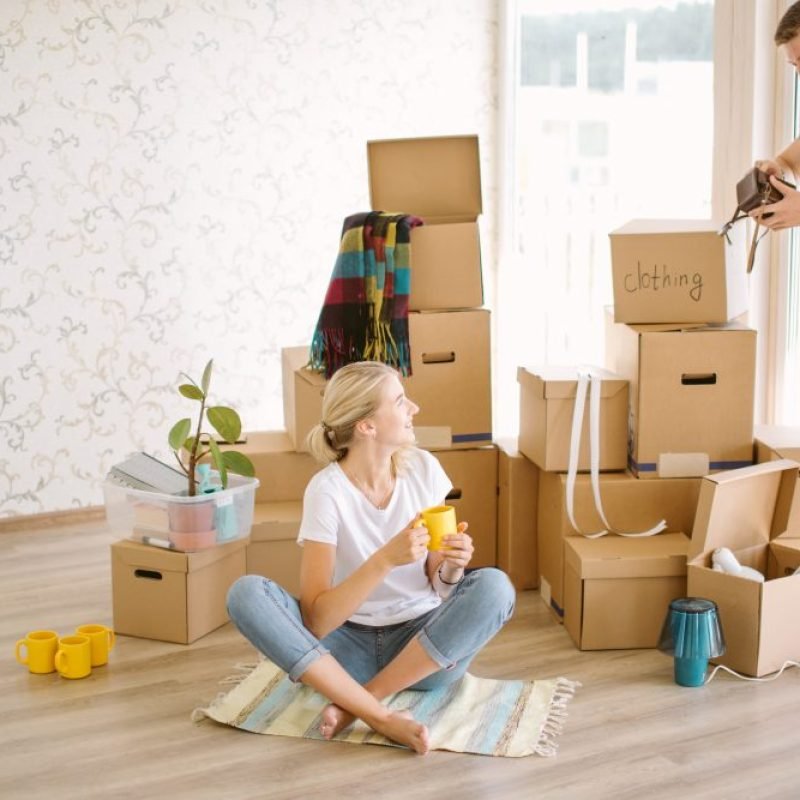 move in move out cleaners services