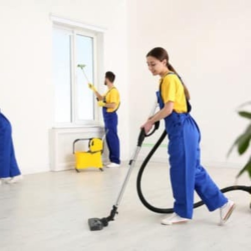 move in move out cleaners services